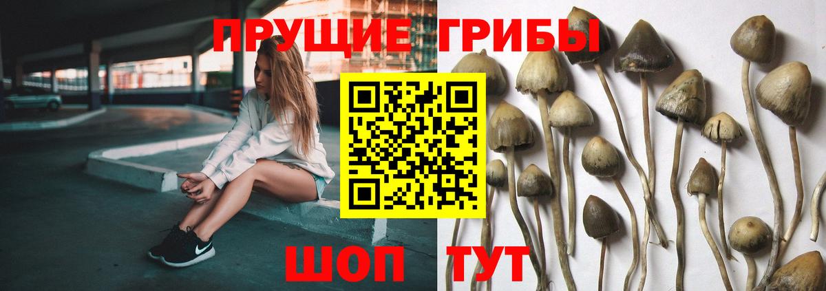 Галлюциногенные грибы MAGIC MUSHROOMS  Галлюциногенные грибы Psilocybine cubensis  Муром  Вход с VPN 