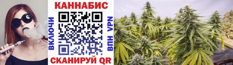 хочу   Муром  Каннабис VHQ 